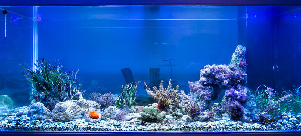 לינה וארוחת בוקר בלסטראטה Stanze Del Mare מראה חיצוני תמונה